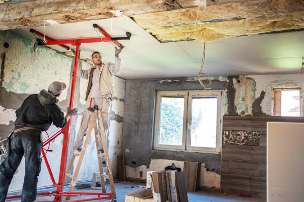 Best Attic Insulation Installation  in Plainview, NE